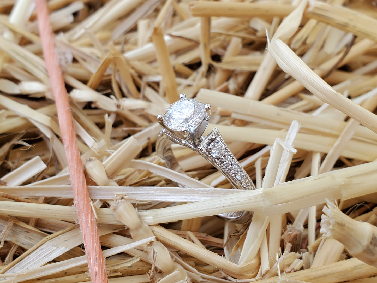 The Lydia: 10K White Gold Ring with Round Diamond and Channel Set Stones, Cowgirl Engagement Ring, Western Engagement Ring