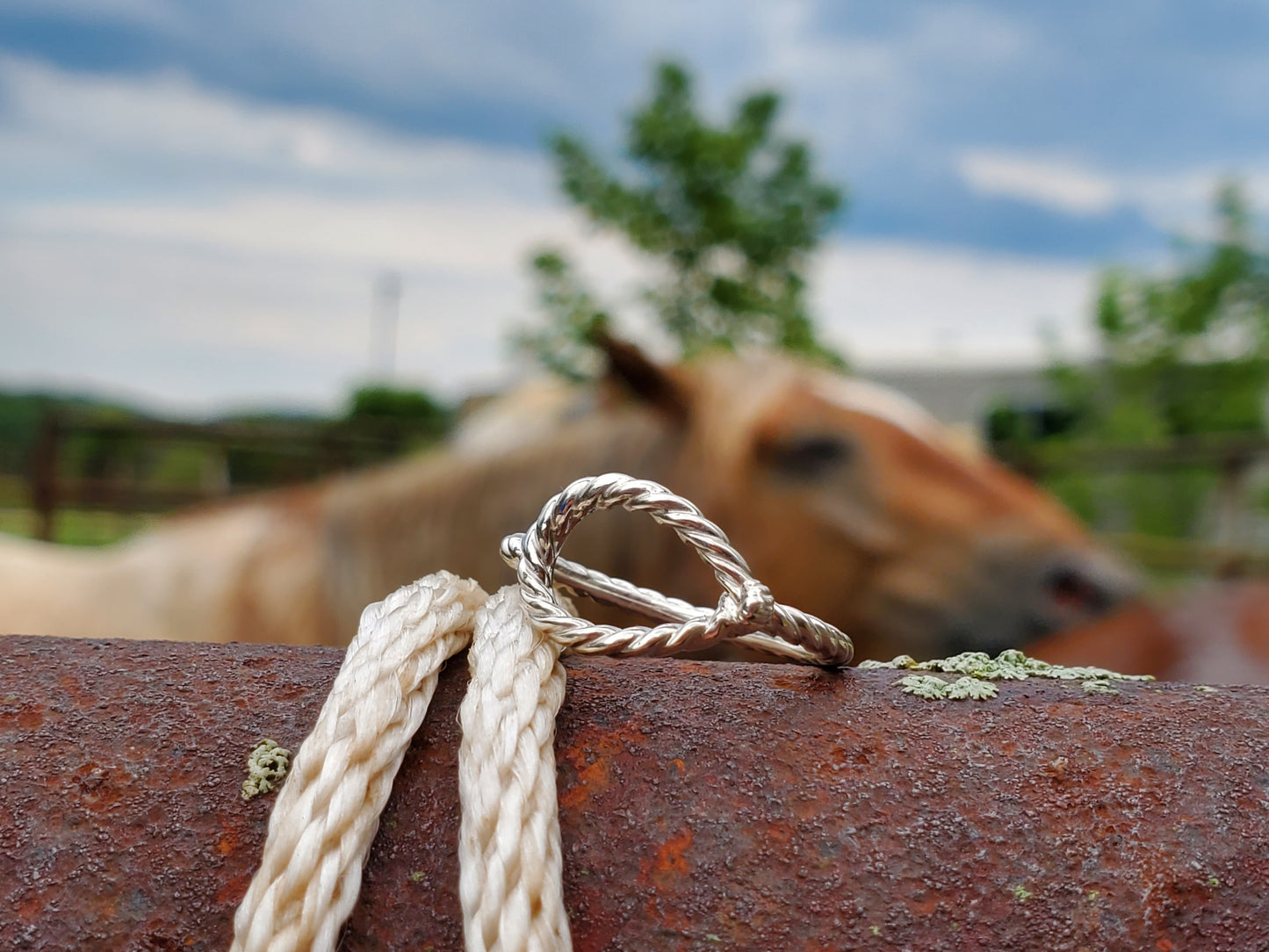 The Honda: 10K White, Rose, or Yellow Gold Rope Band, Women's Western Ring, Cowgirl Rope Band, Unique Western Jewelry