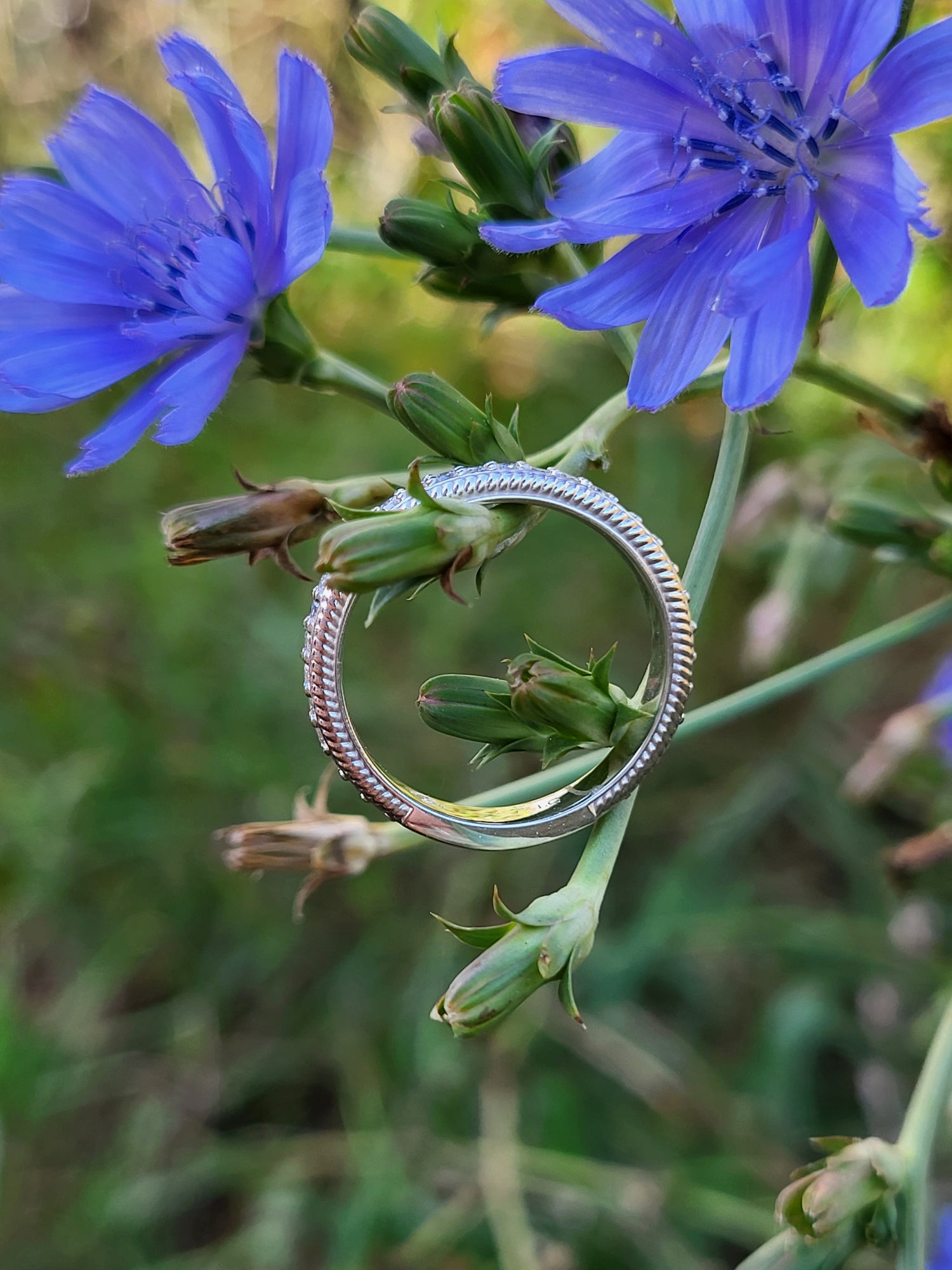 western white gold rope-detail diamond ring on a stem with blue flowers in the background