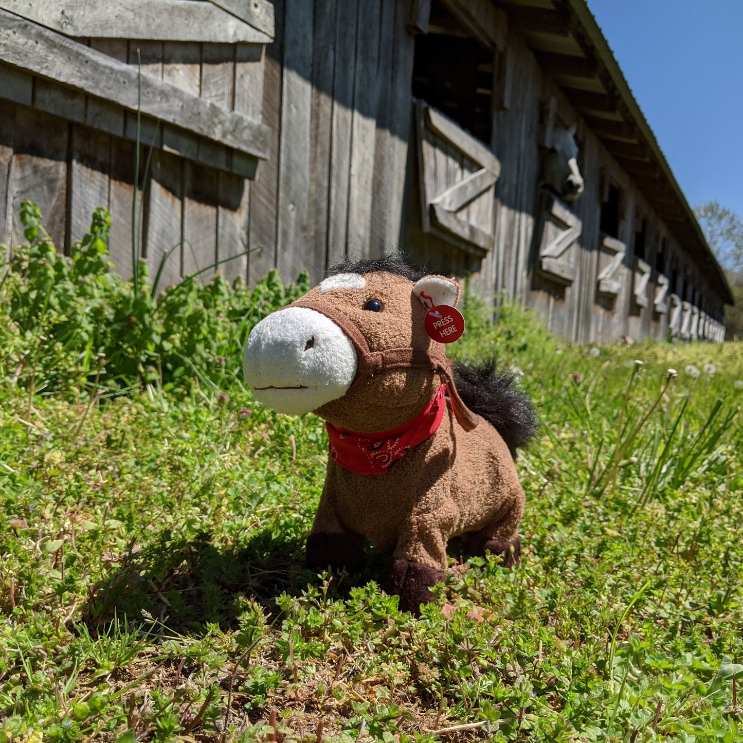 Galloping Trigger Plush Toy Horse Character from the book series The Adventures of Cowboy Cinch & Wrangler Rein