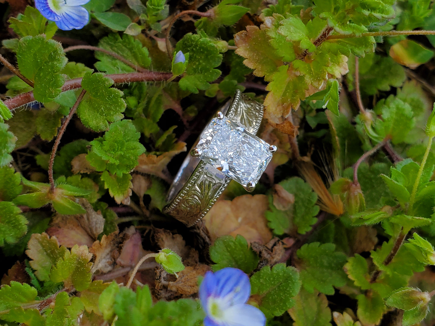 The Iris: 5mm, 2ct Radiant Cut Silver or White Gold Upraised Milgrain Ring, Cowgirl moissanite ring, western engagement ring, cowgirl ring, white gold engagement ring
