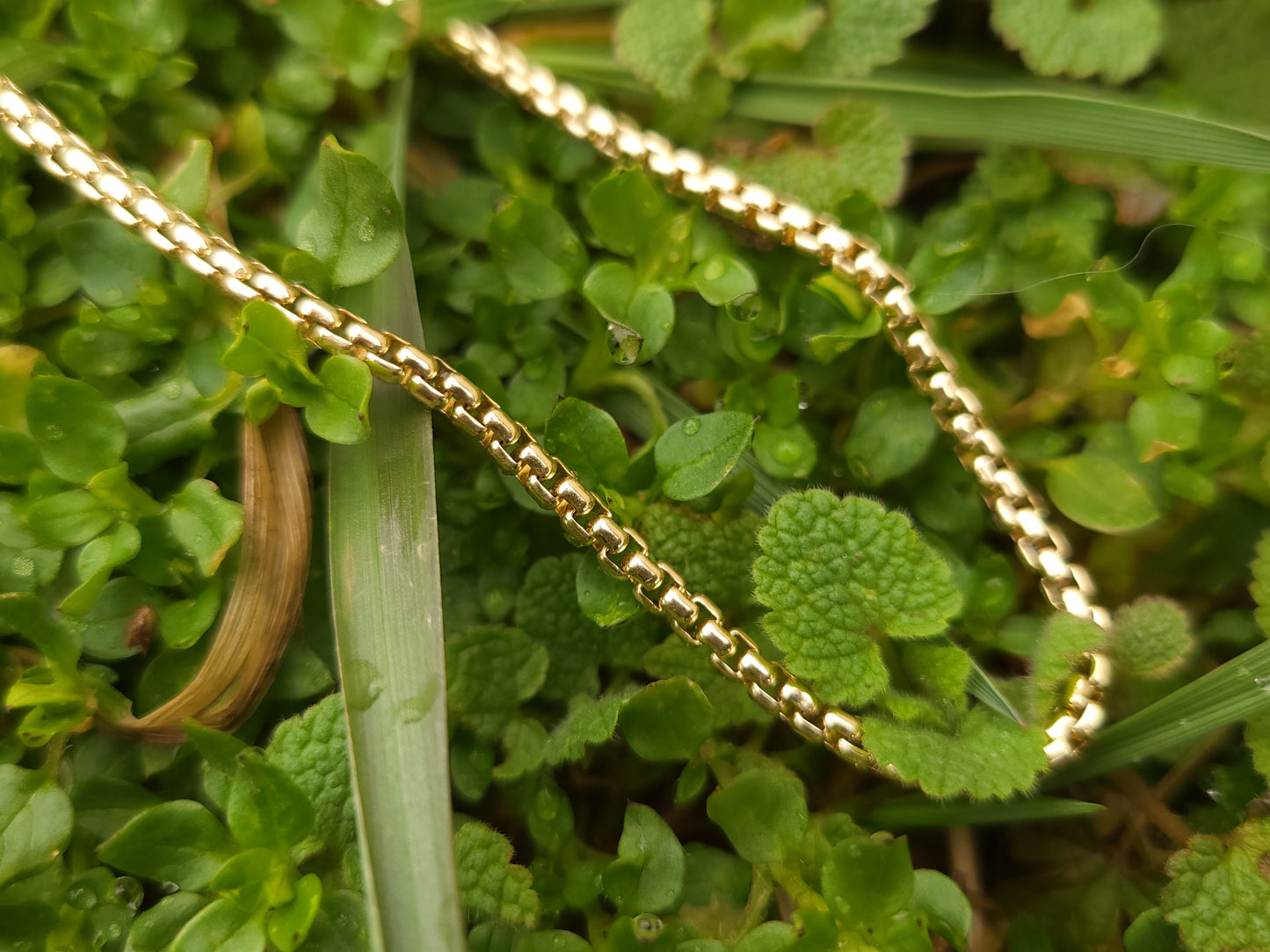 The Classic Box Chain in Yellow Gold: 2.5mm Edition. Solid 2.5mm Round Box Chain in 10K and 14K Yellow Gold, Fully Solid- not hollow. Everyday Solid Gold Chain