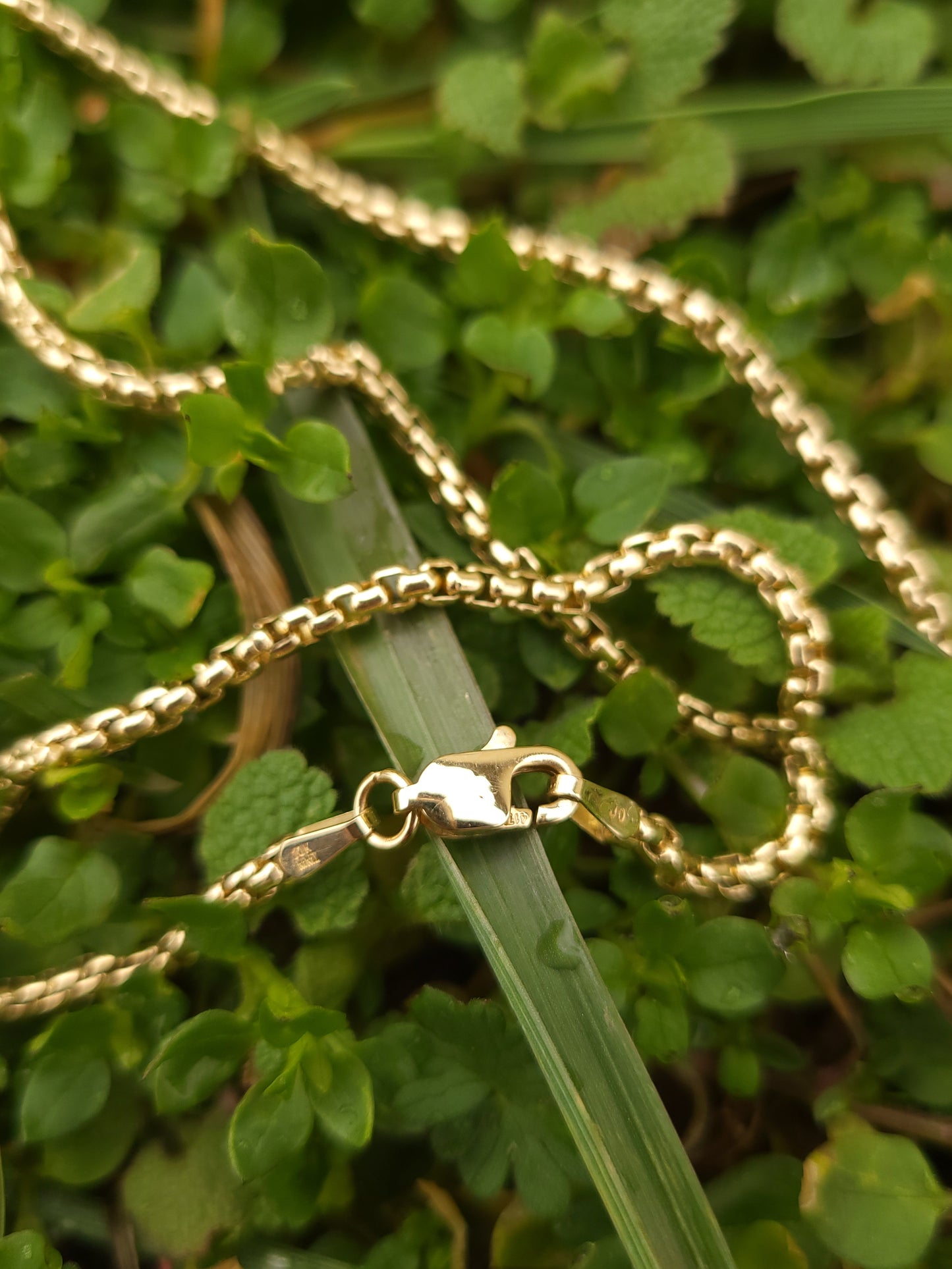 The Classic Box Chain in Yellow Gold: 2.5mm Edition. Solid 2.5mm Round Box Chain in 10K and 14K Yellow Gold, Fully Solid- not hollow. Everyday Solid Gold Chain