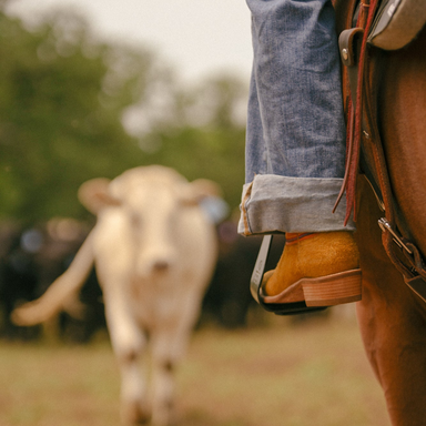 ROSE HILL in Tangerine and Bronze, Women's Cowboy Boot, by Hyer Boot Company, Cowgirl Boots