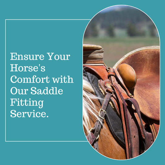 In person saddle fitting consultation