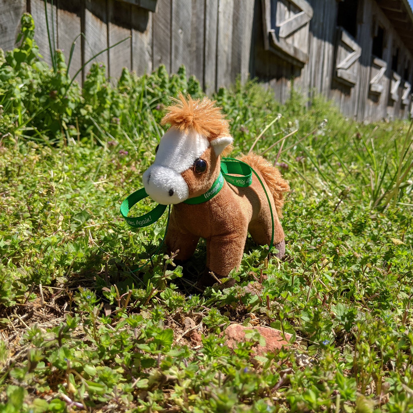 Duke Plush Toy Horse Character from the book series The Adventures of Cowboy Cinch & Wrangler Rein