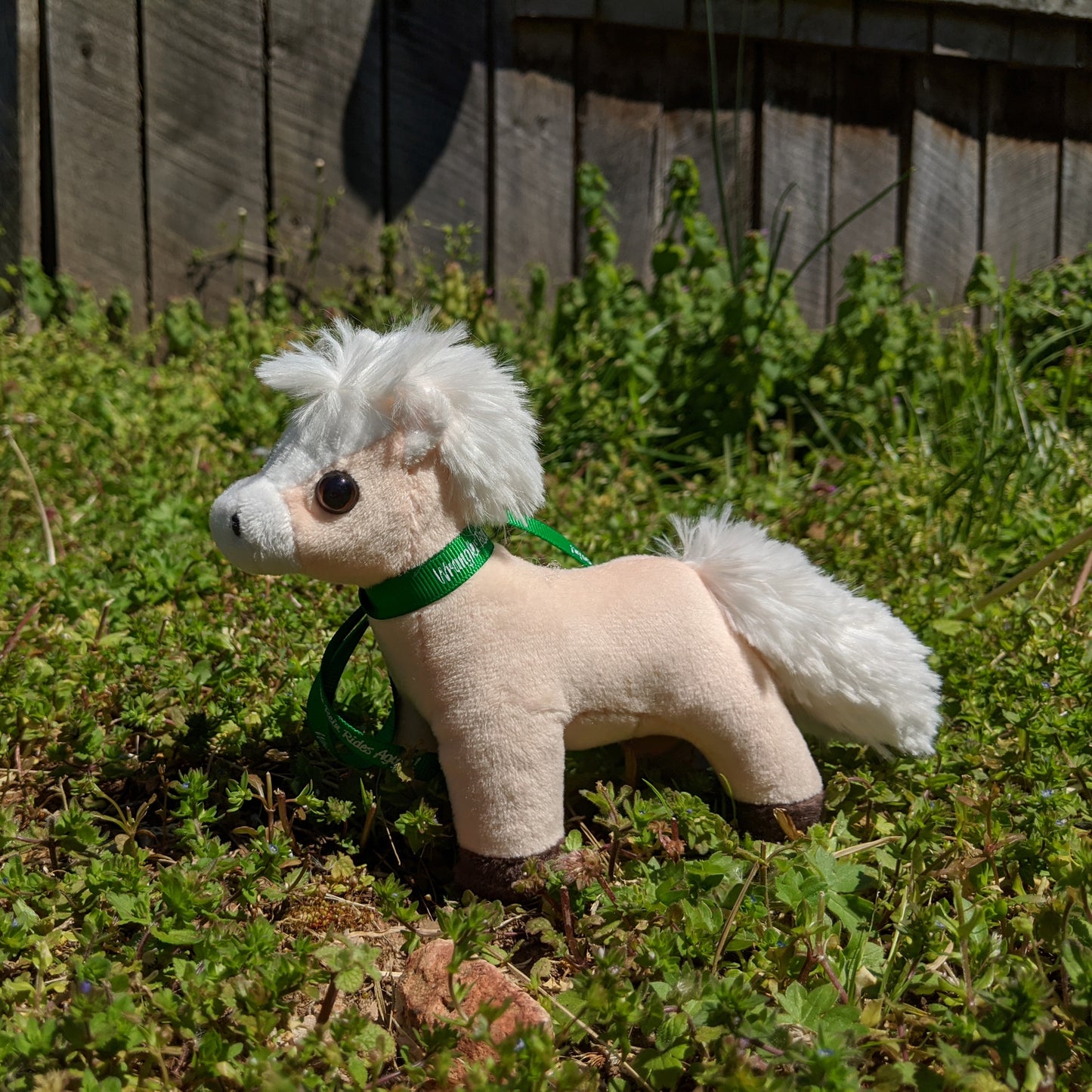 Biscuit Plush Toy Horse Character from the book series The Adventures of Cowboy Cinch & Wrangler Rein