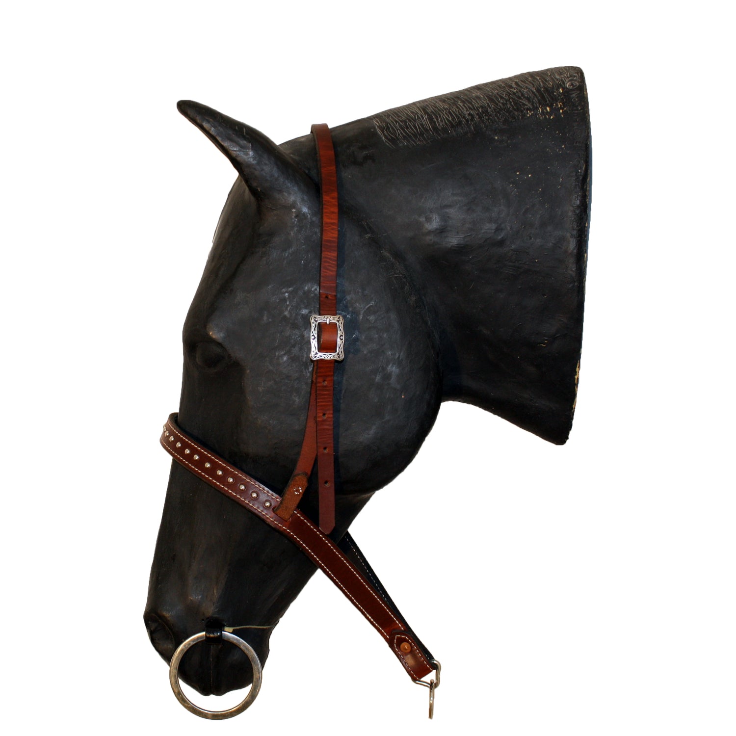 Picture of C&L Spotted Noseband NB000001