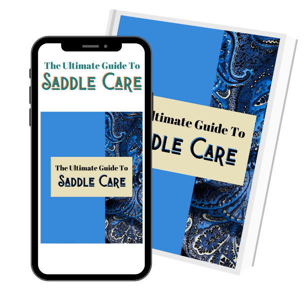 The Ultimate Guide To Saddle Care