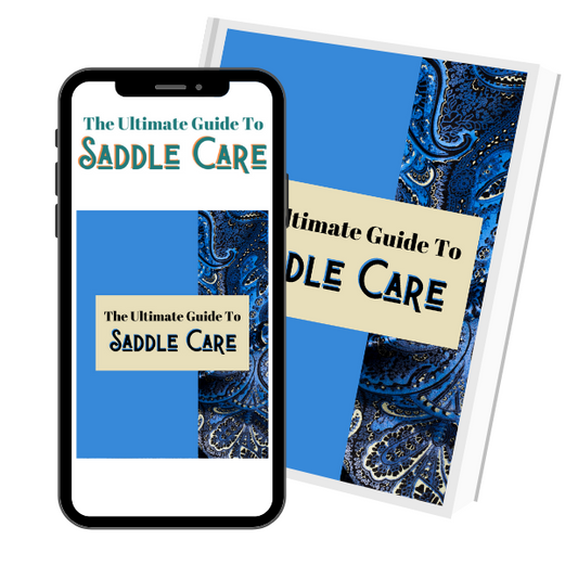 The Ultimate Guide To Saddle Care